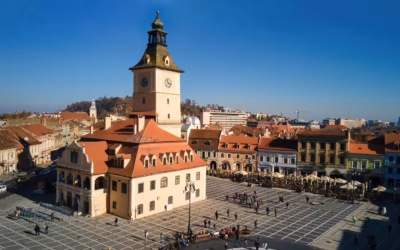 Jak budować odporność przez odpowiednie odżywianie