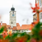 Muzea w Polsce a cyfrowe ekspozycje: rola młodych kuratorów w tworzeniu multimedialnych wystaw Edukacyjne misje muzealne w Polsce: jak młodzi kuratorzy projektują programy dla rodzin i szkół