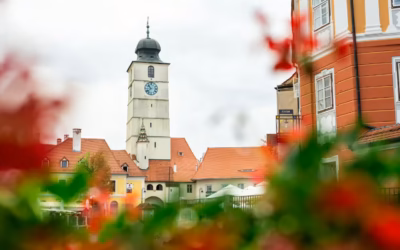 Muzea w Polsce a cyfrowe ekspozycje: rola młodych kuratorów w tworzeniu multimedialnych wystaw
