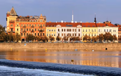 Szkolenia BHP